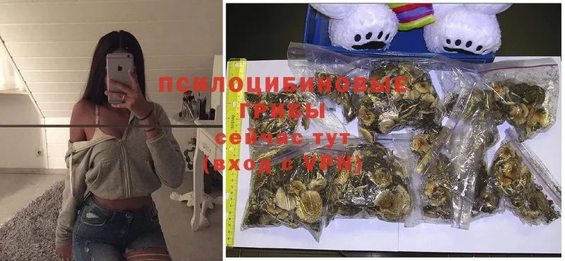 Галлюциногенные грибы MAGIC MUSHROOMS  Кушва 